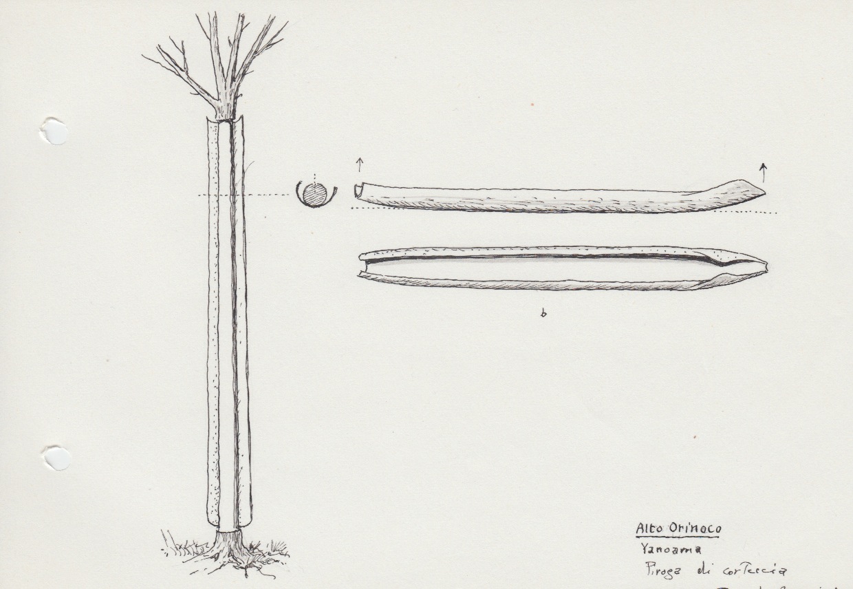 114 Alto Orinoco - Yanoama - piroga di corteccia - A scortecciamento - B messa in forma